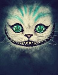 adorablyfluffy1
