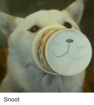 Hitboxing