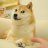 QueenDoggy